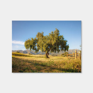 AUTO-MOCKUP WHITE | San Marcos Foothills | 1 Piece | Gallery Wrap | group=4x3