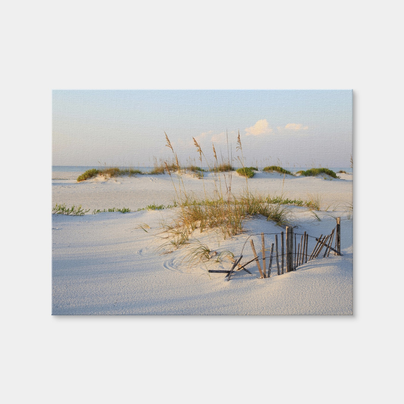 AUTO-MOCKUP WHITE | Sand Dunes and Sea Oats | 1 Piece | Gallery Wrap | group=4x3