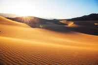 Sand dunes in Death Valley Wall Art
