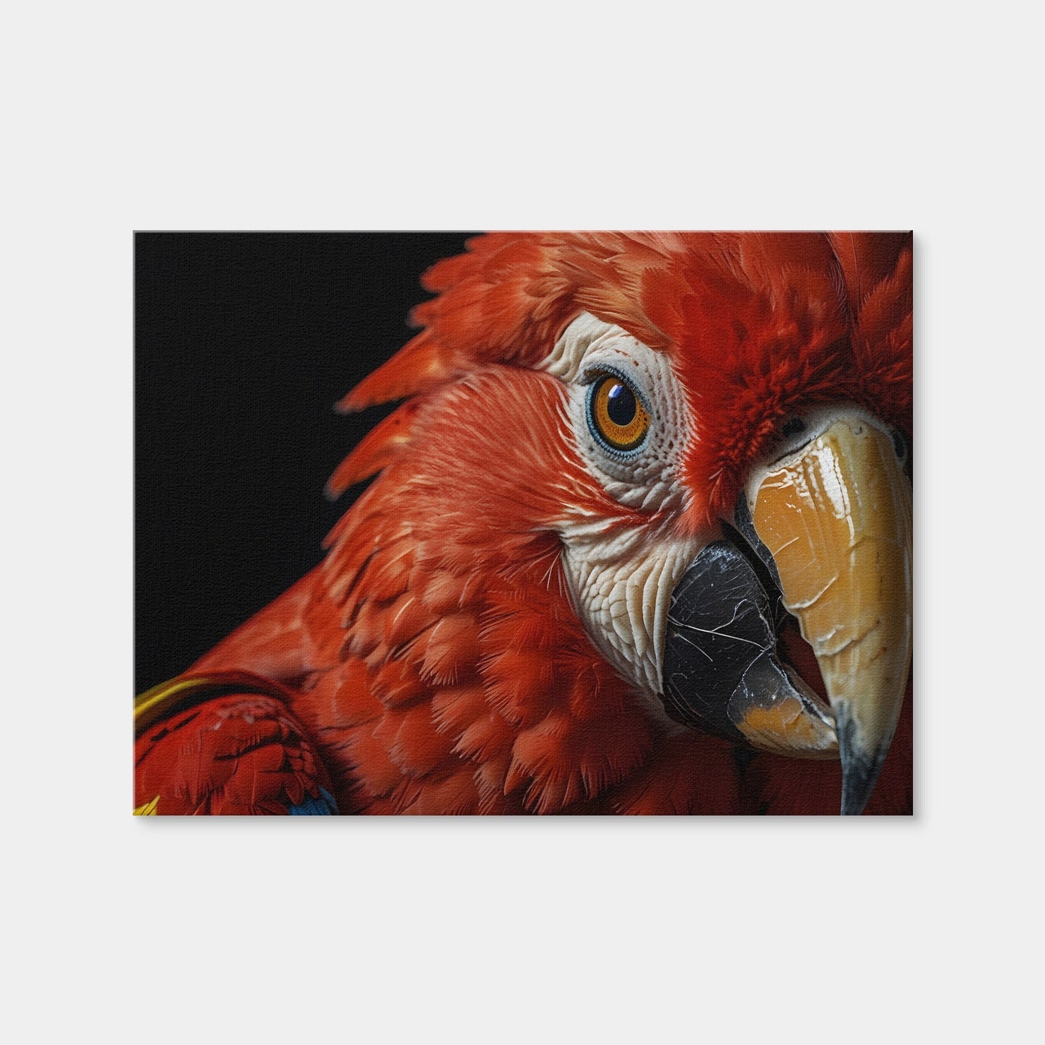 AUTO-MOCKUP WHITE | Scarlet Macaw Close-up | 1 Piece | Gallery Wrap | group=4x3