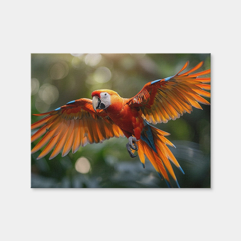 AUTO-MOCKUP WHITE | Scarlet Macaw in Flight | 1 Piece | Gallery Wrap | group=4x3