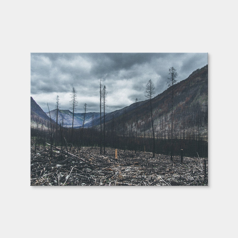 AUTO-MOCKUP WHITE | Scorched Trees | 1 Piece | Gallery Wrap | group=4x3