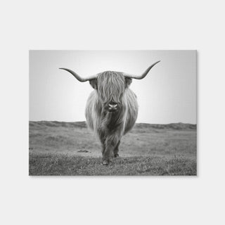 AUTO-MOCKUP WHITE | Scottish Bull | 1 Piece | Gallery Wrap | group=4x3