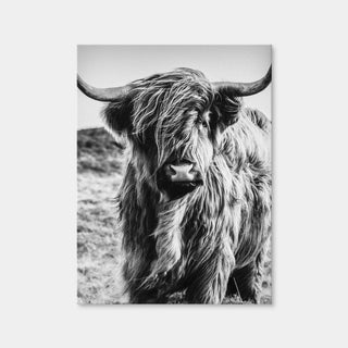 AUTO-MOCKUP WHITE | Scottish Highland Cow | 1 Piece | Gallery Wrap | group=3x4