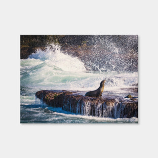AUTO-MOCKUP WHITE | Sea Lion Surf La Jolla | 1 Piece | Gallery Wrap Canvas | group=4x3