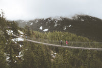 Sea to Sky Suspension Bridge Canada Wall Art