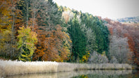 Seasons Wall Art