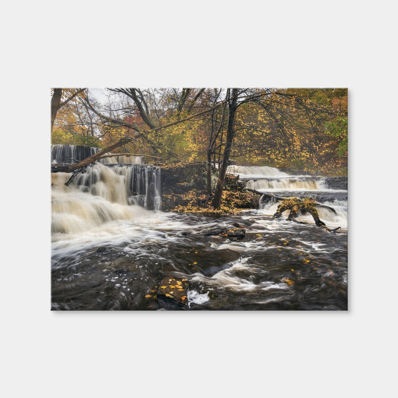 AUTO-MOCKUP WHITE | Seeing Double | 1 Piece | Gallery Wrap | group=4x3