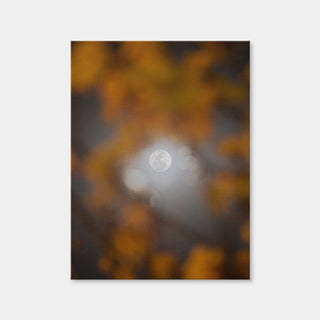 AUTO-MOCKUP WHITE | Selene and Yellow Ipe | 1 Piece | Gallery Wrap | group=3x4