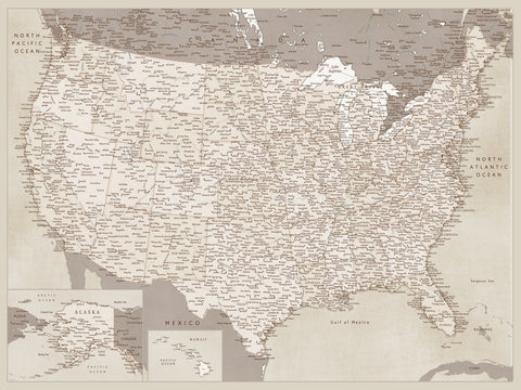 Sepia US Map Wall Art