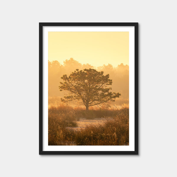 Serengeti Wall Art — Framed Print Format preview