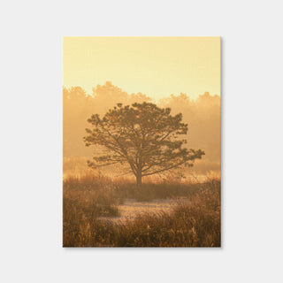 AUTO-MOCKUP WHITE | Serengeti | 1 Piece | Gallery Wrap | group=3x4