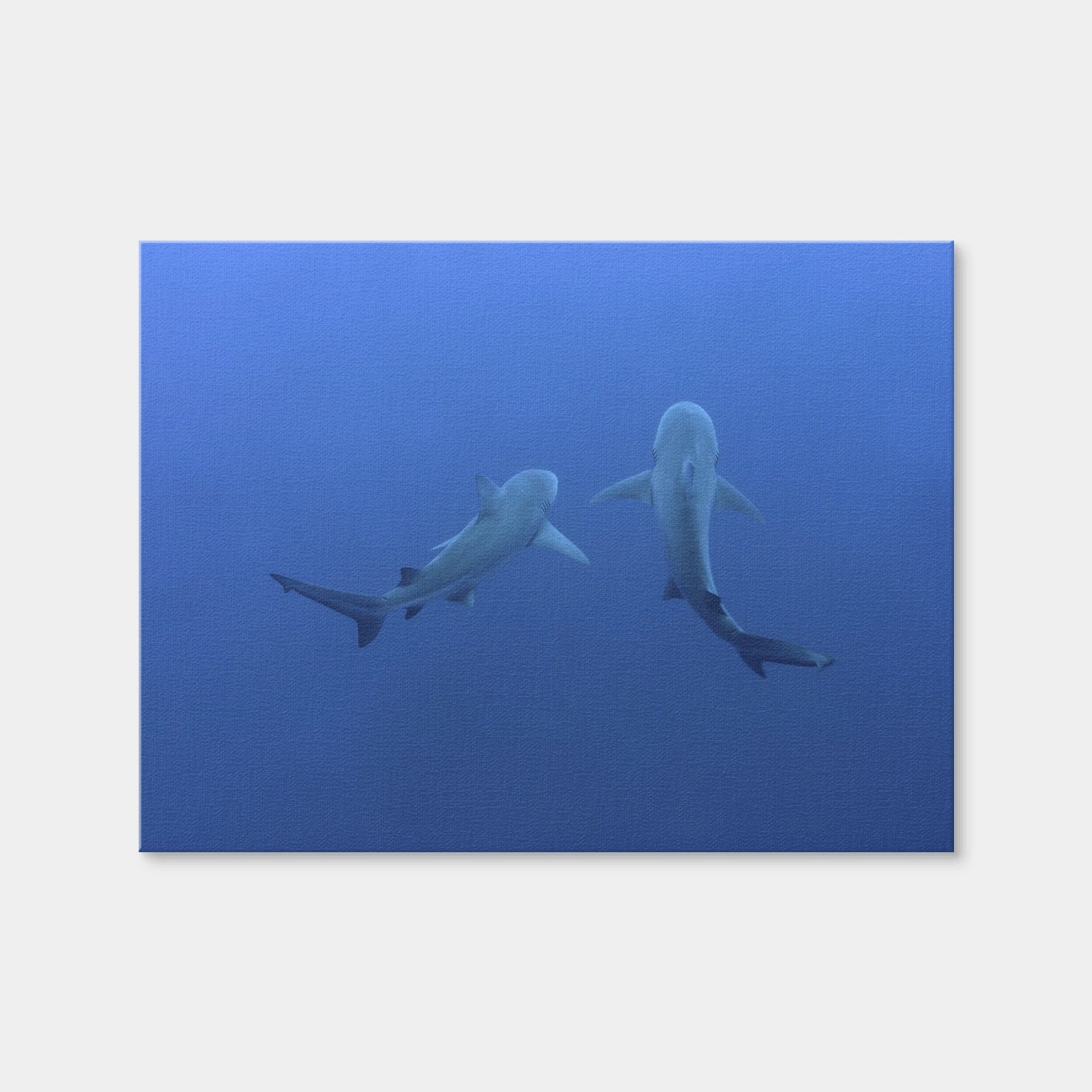 AUTO-MOCKUP WHITE | Shark Mates | 1 Piece | Gallery Wrap Canvas | group=4x3