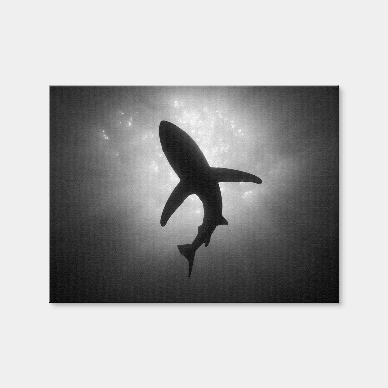 AUTO-MOCKUP WHITE | Shark Silhouette | 1 Piece | Gallery Wrap Canvas | group=4x3