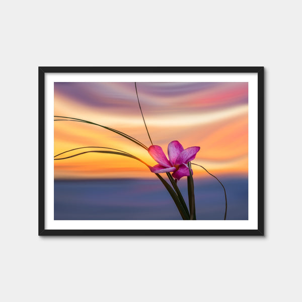 She Loves Me Wall Art — Framed Print Format preview