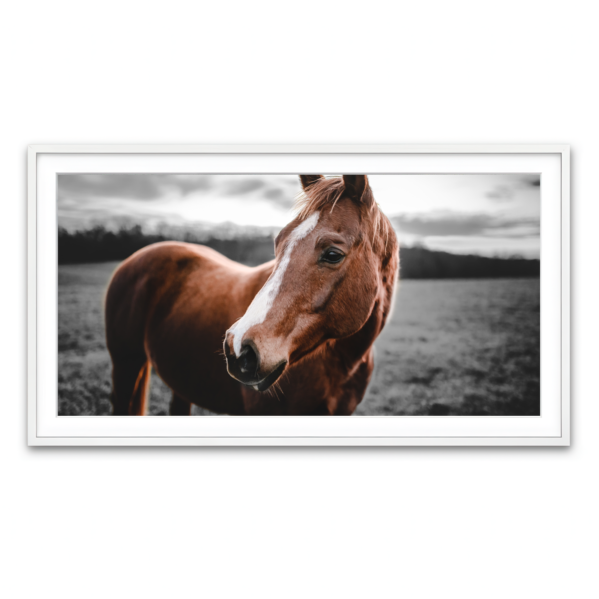 Framed Print 2x1 White