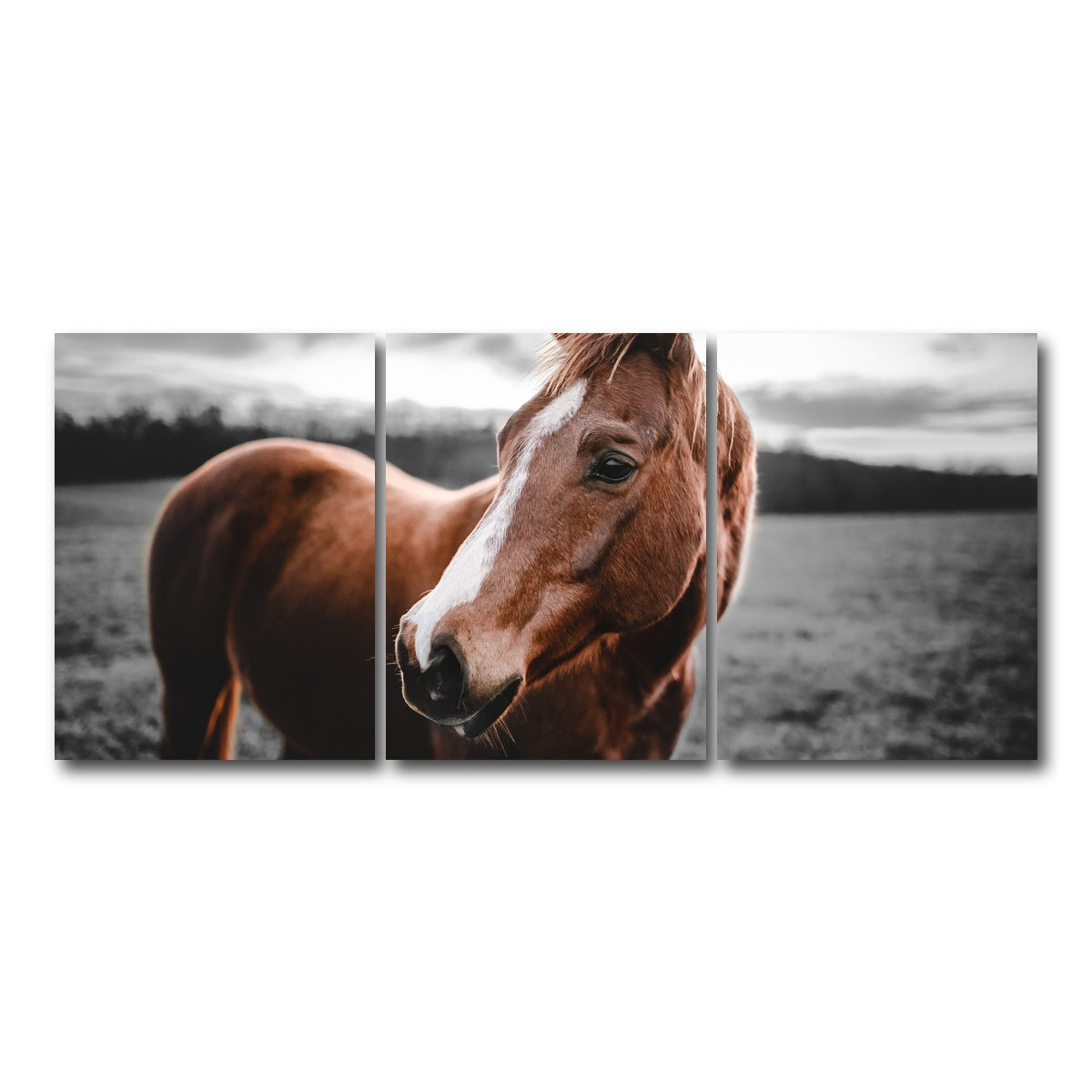 AUTO-MOCKUP WHITE | Shining Horse | 3 Piece | Gallery Wrap Canvas | group=18x24