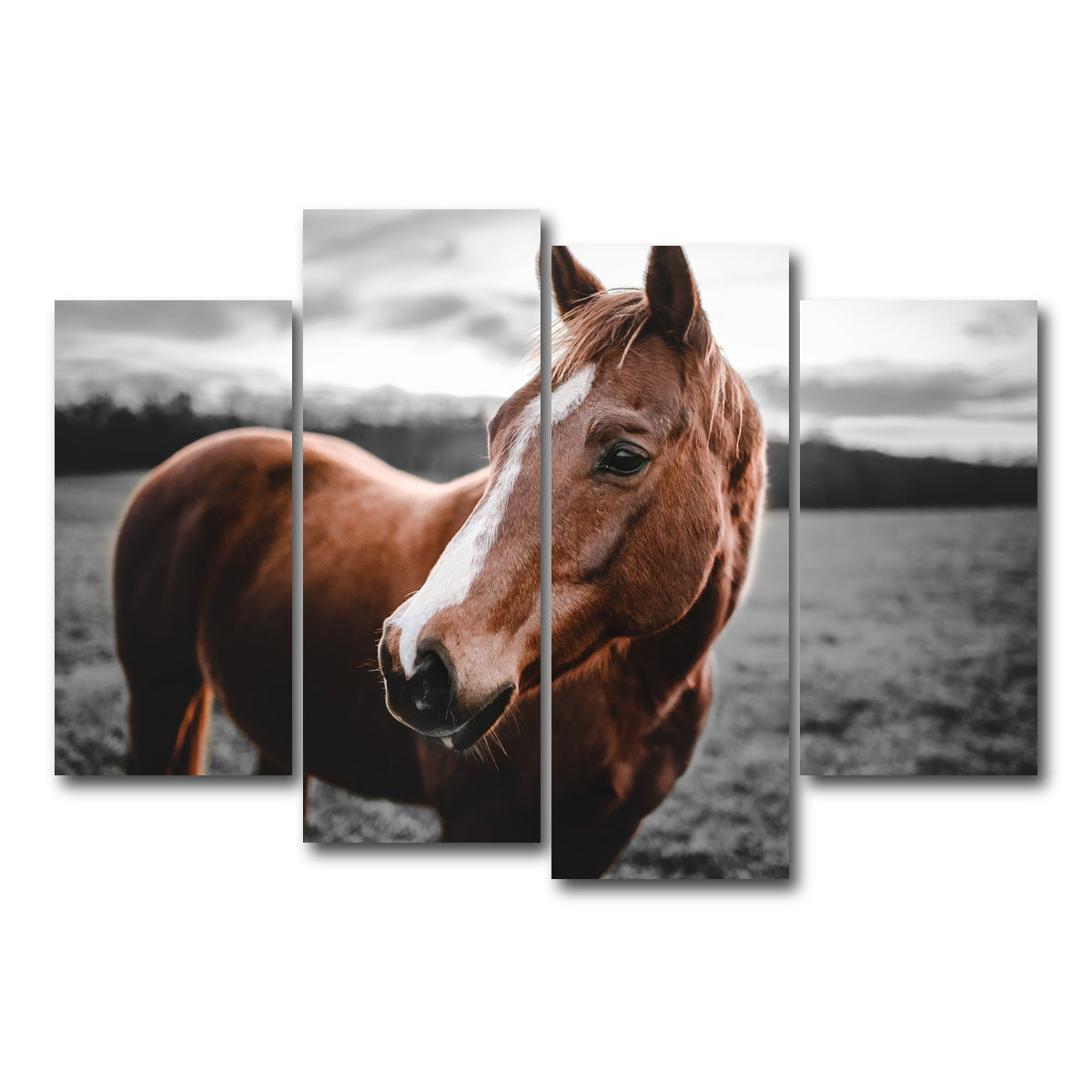AUTO-MOCKUP WHITE | Shining Horse | 4 Piece | Gallery Wrap Canvas | group=4_short