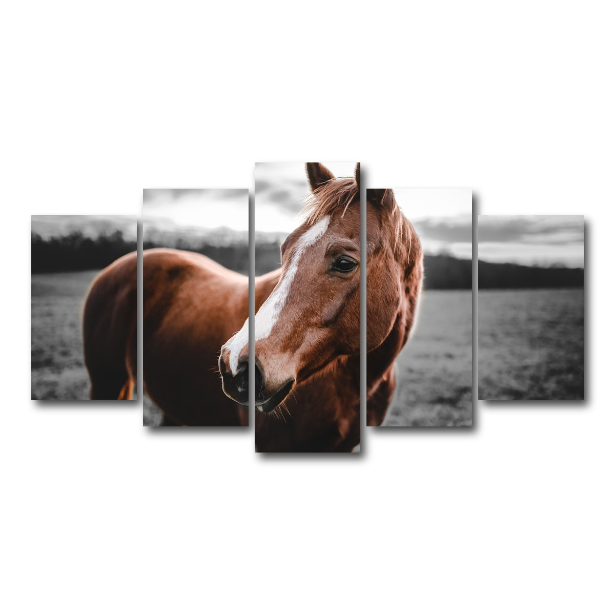AUTO-MOCKUP WHITE | Shining Horse | 5 Piece | Gallery Wrap Canvas | group=5_normal