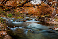 Silky Guadalupe River Wall Art