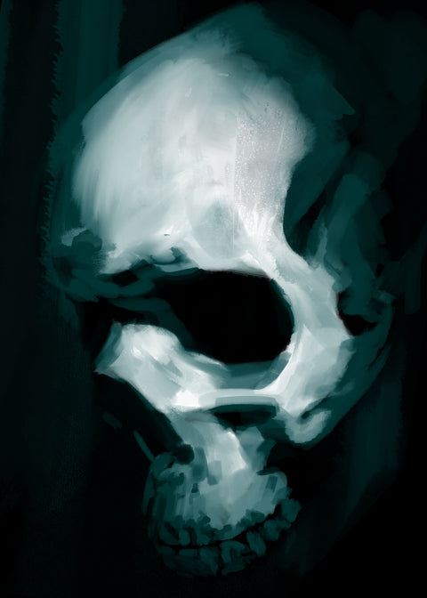 Skull In Profile Wall Art