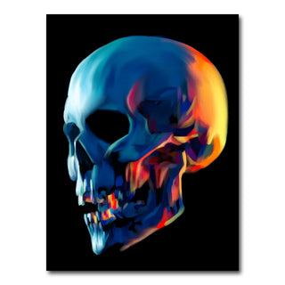 Skull Shine Wall Art