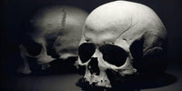 Skulls Wall Art