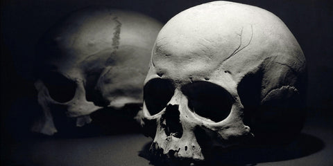 Skulls Wall Art