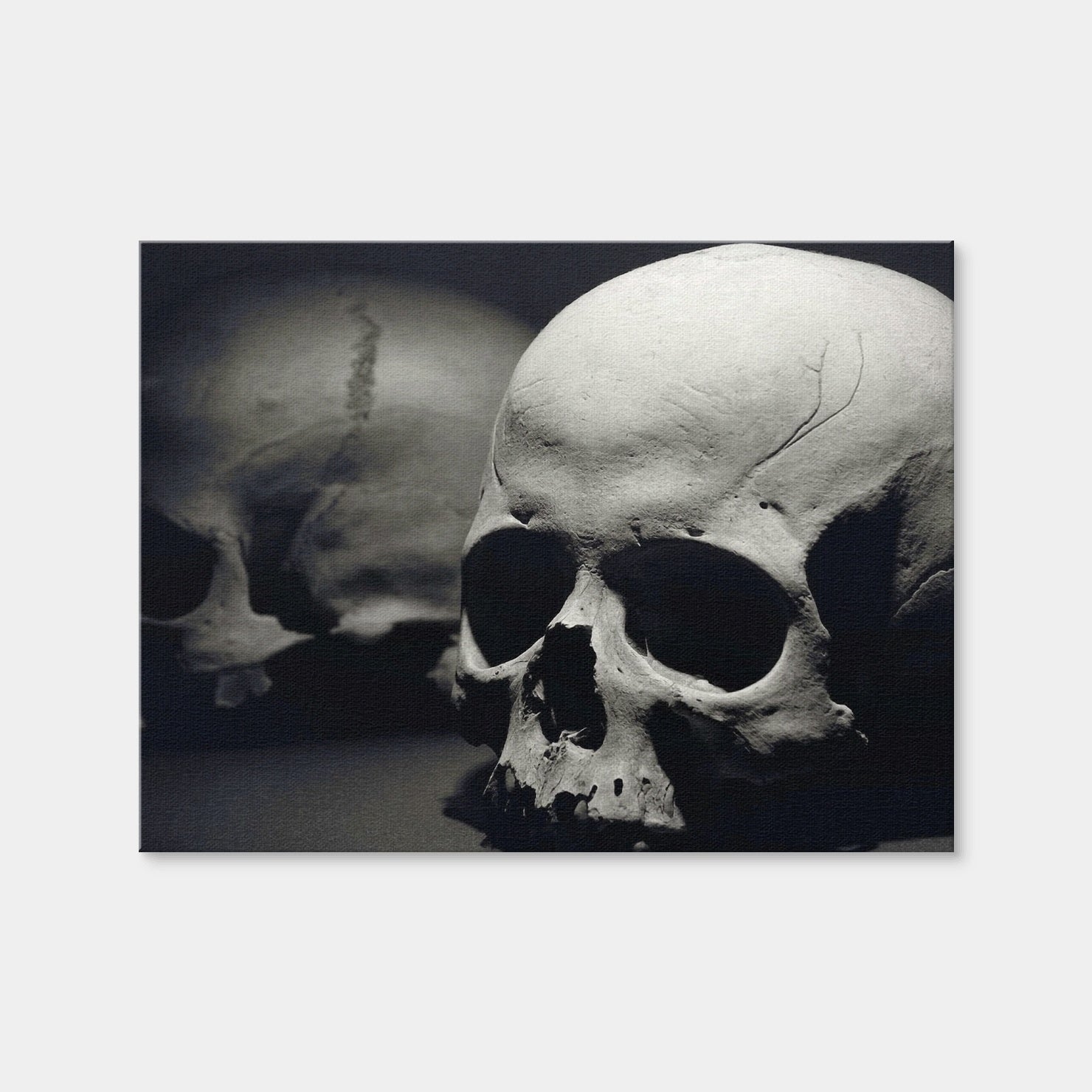 AUTO-MOCKUP WHITE | Skulls | 1 Piece | Gallery Wrap Canvas | group=4x3