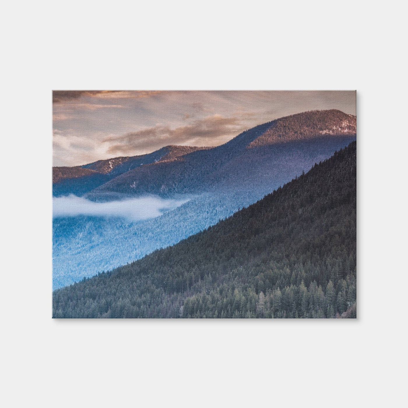 AUTO-MOCKUP WHITE | Sloping Trees | 1 Piece | Gallery Wrap | group=4x3