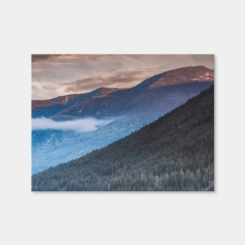 AUTO-MOCKUP WHITE | Sloping Trees | 1 Piece | Gallery Wrap | group=4x3