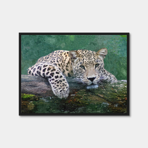 Snow Leopard Wall Art — Framed Canvas Format preview