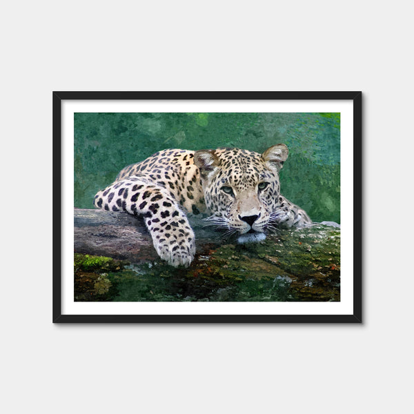 Snow Leopard Wall Art — Framed Print Format preview