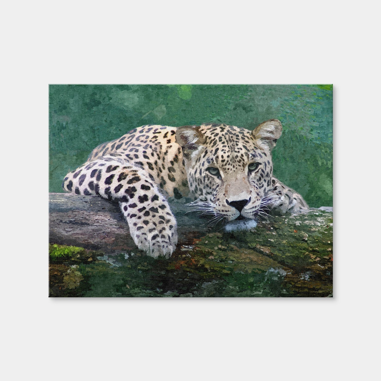 AUTO-MOCKUP WHITE | Snow Leopard | 1 Piece | Gallery Wrap | group=4x3