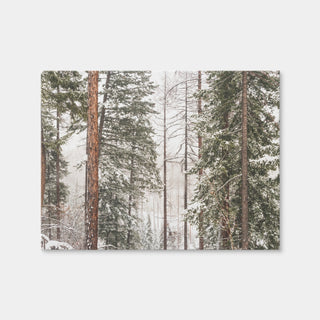 AUTO-MOCKUP WHITE | Snow in Lois Creek | 1 Piece | Gallery Wrap | group=4x3