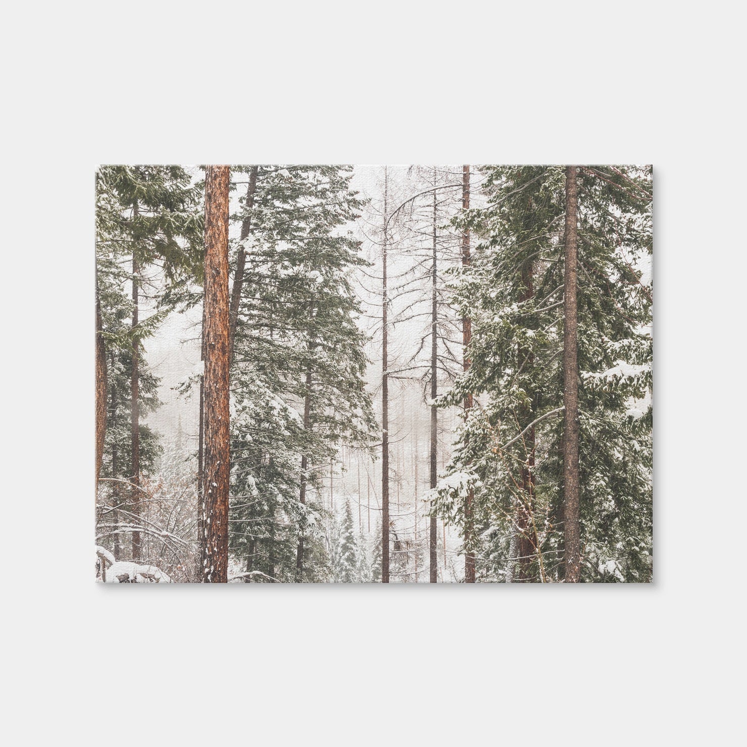AUTO-MOCKUP WHITE | Snow in Lois Creek | 1 Piece | Gallery Wrap | group=4x3