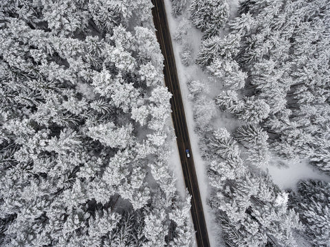 Snowy Road Wall Art
