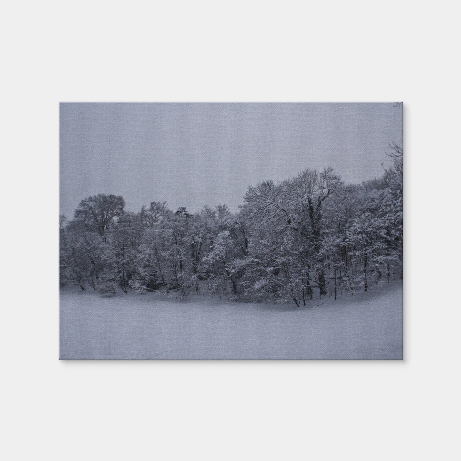 AUTO-MOCKUP WHITE | Snowy Stroll | 1 Piece | Gallery Wrap | group=4x3