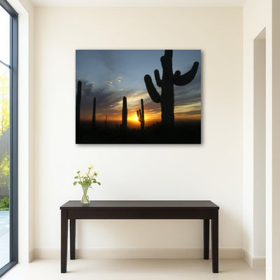 AUTO-MOCKUP ROOM | Sonoran Desert Sunset