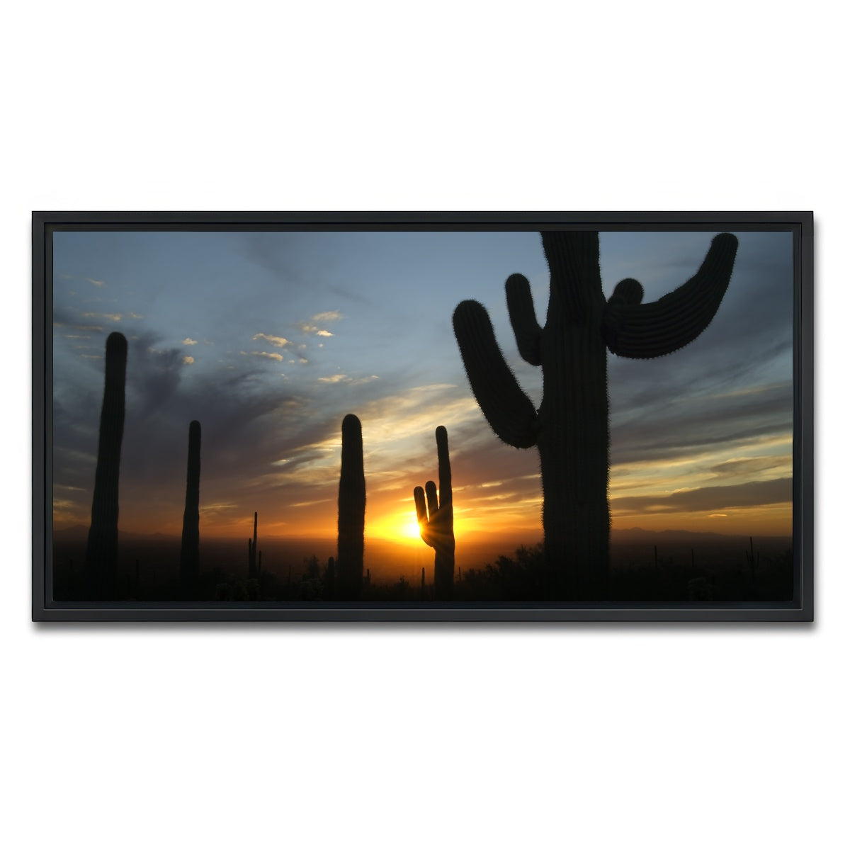 AUTO-MOCKUP WHITE | Sonoran Desert Sunset | 1 Piece | Black Framed Canvas | group=2x1