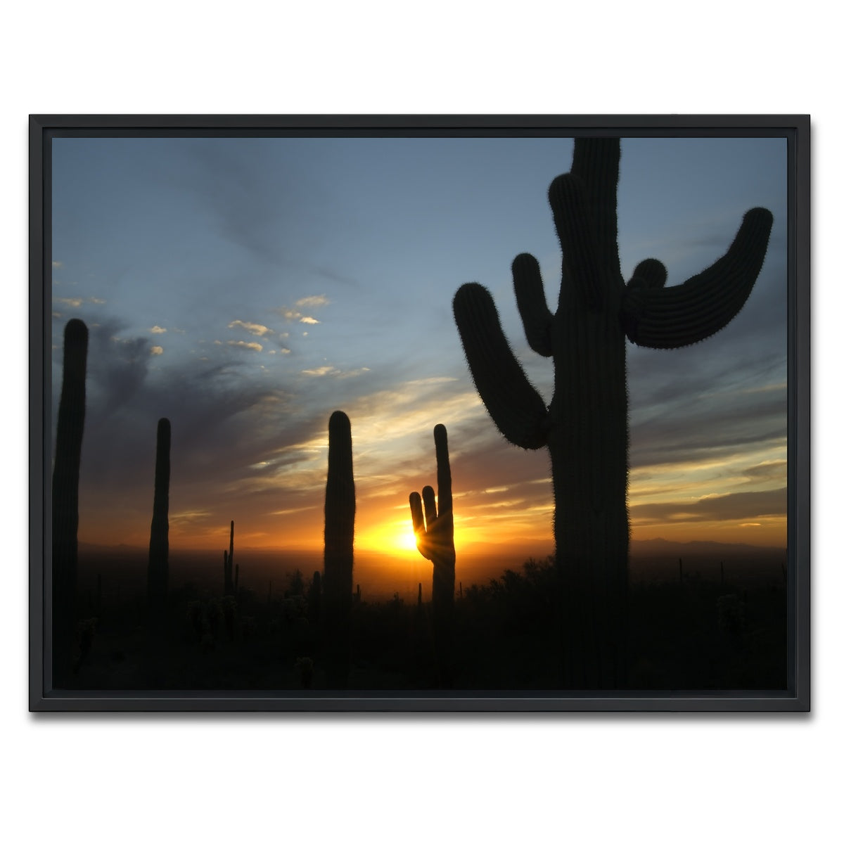 AUTO-MOCKUP WHITE | Sonoran Desert Sunset | 1 Piece | Black Framed Canvas | group=4x3