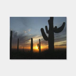 AUTO-MOCKUP WHITE | Sonoran Desert Sunset | 1 Piece | Gallery Wrap | group=4x3