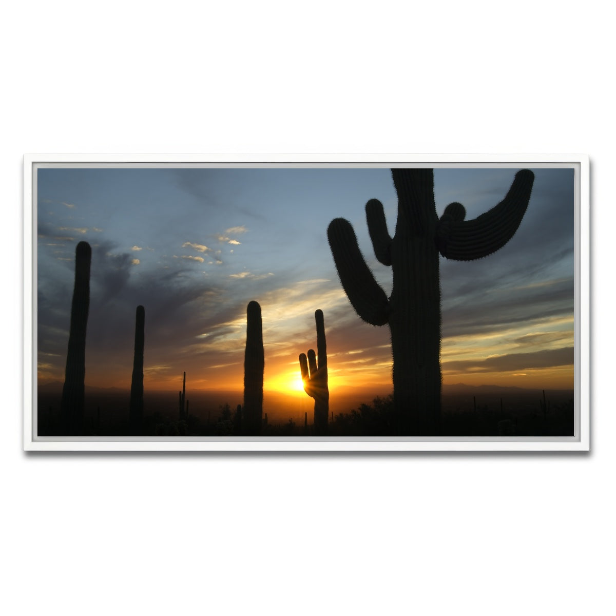 AUTO-MOCKUP WHITE | Sonoran Desert Sunset | 1 Piece | White Framed Canvas | group=2x1