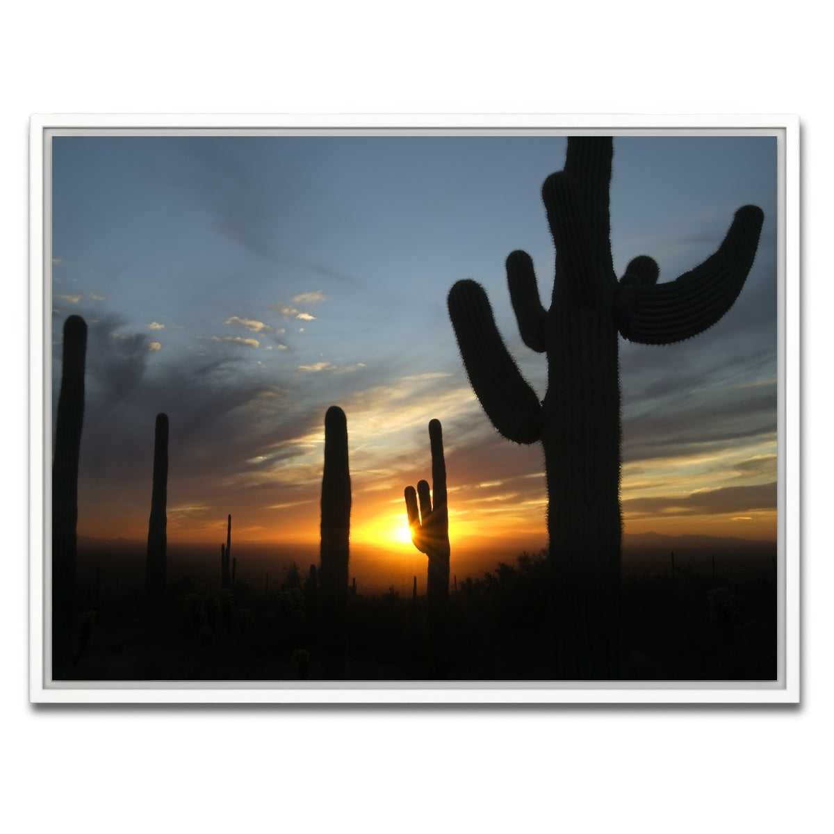 AUTO-MOCKUP WHITE | Sonoran Desert Sunset | 1 Piece | White Framed Canvas | group=4x3