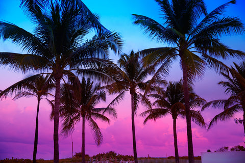 South Beach sunset Wall Art