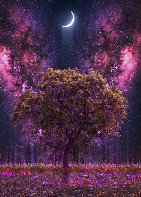 Space Ground Wall Art