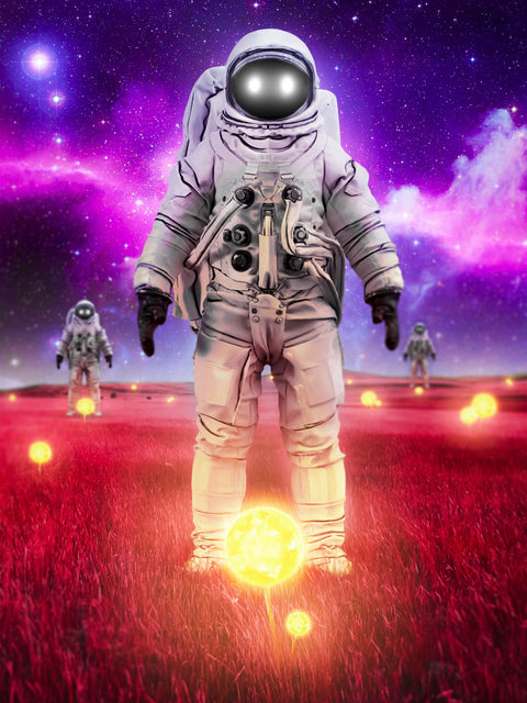 Space sunflowers Wall Art