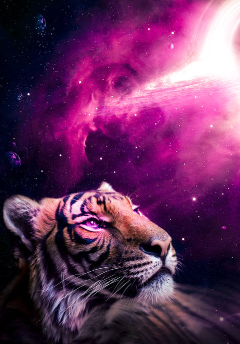 Space tiger Wall Art