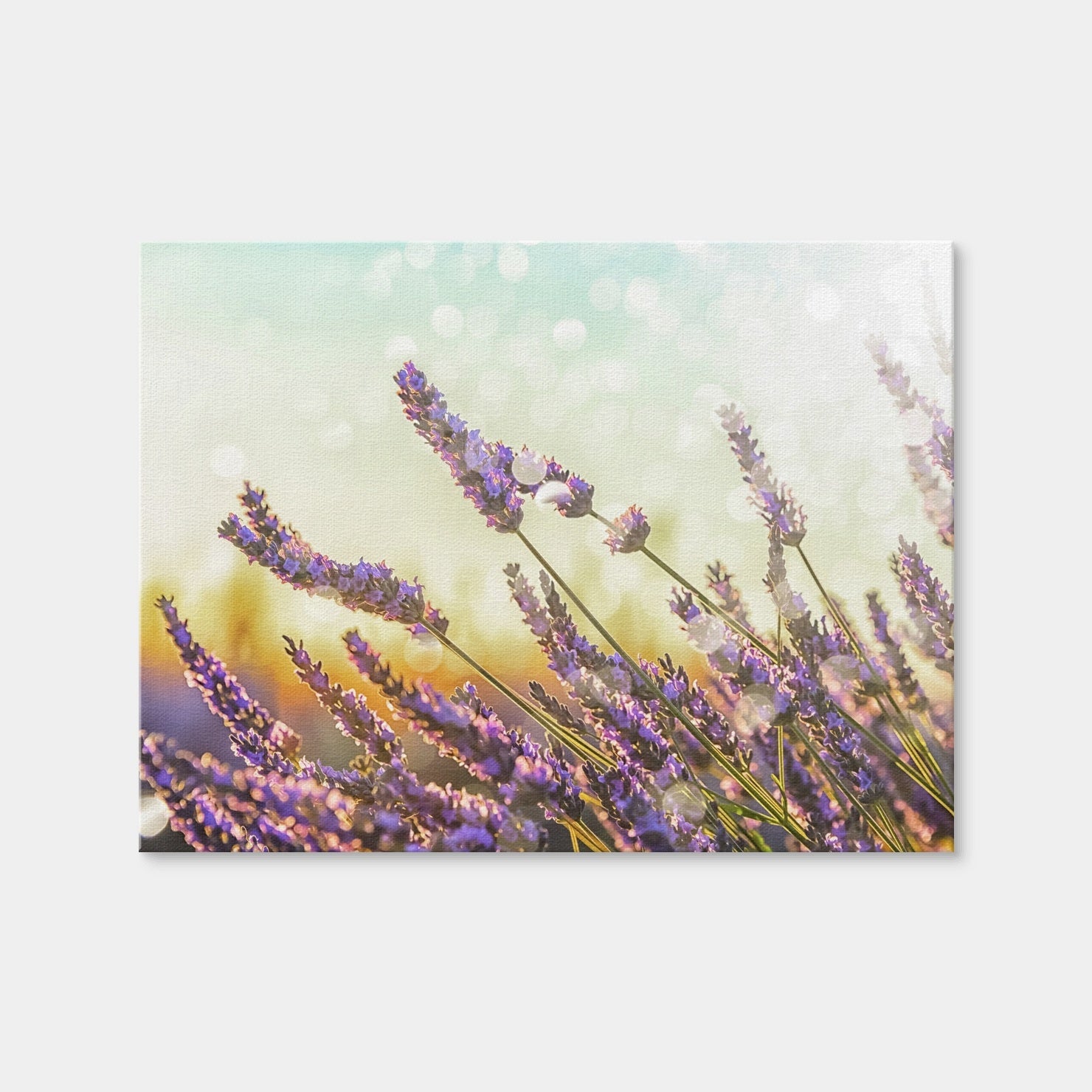 AUTO-MOCKUP WHITE | Sparkling Lavender | 1 Piece | Gallery Wrap Canvas | group=4x3