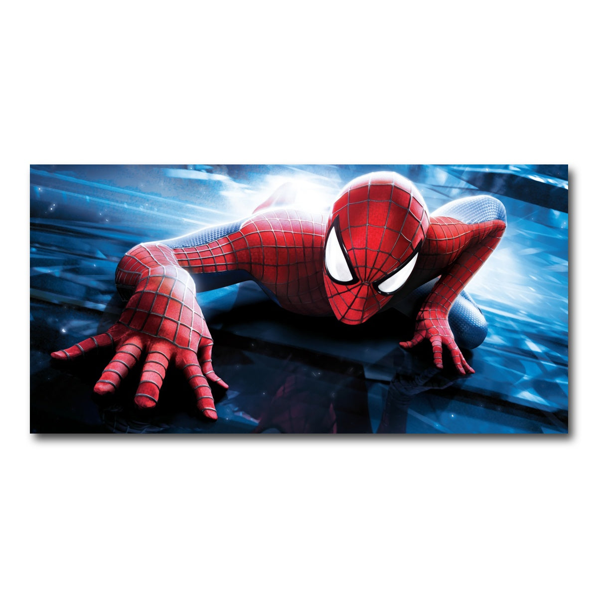 Spider-Man Wall Art